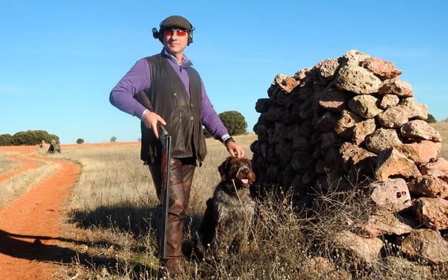 driven partridge shooting spain