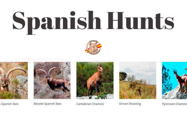 spanish hunts